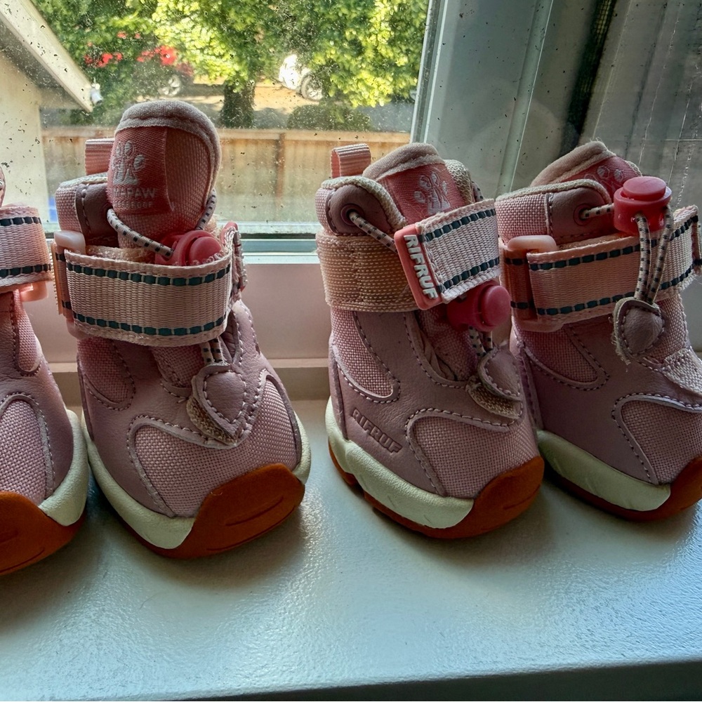 Pink Rifruf dog Apollo 1 shoes
